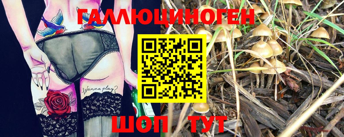 магазин  наркотиков  Вход с VPN  Лениногорск  Псилоцибиновые грибы мухоморы 
